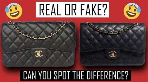 daina fake bag experience|superfake handbags china.